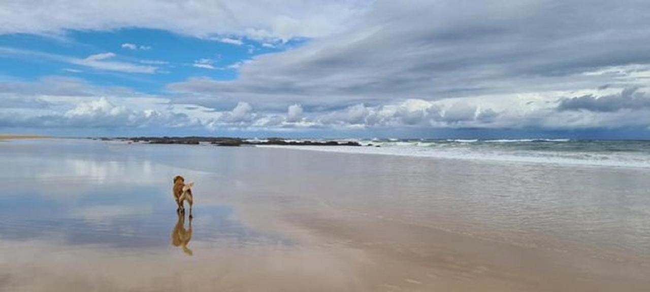 Diamond Beach Resort, Mid North Coast Nsw Buitenkant foto